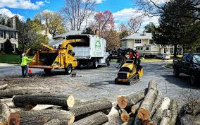 Best Lawn Grading and Leveling  in Pulaski, WI