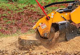 Best Tree Mulching  in Pulaski, WI