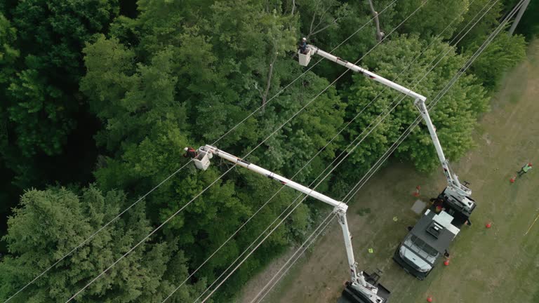 Best Storm Damage Tree Cleanup  in Pulaski, WI